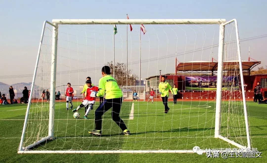 林州教育活动,林州教育热点