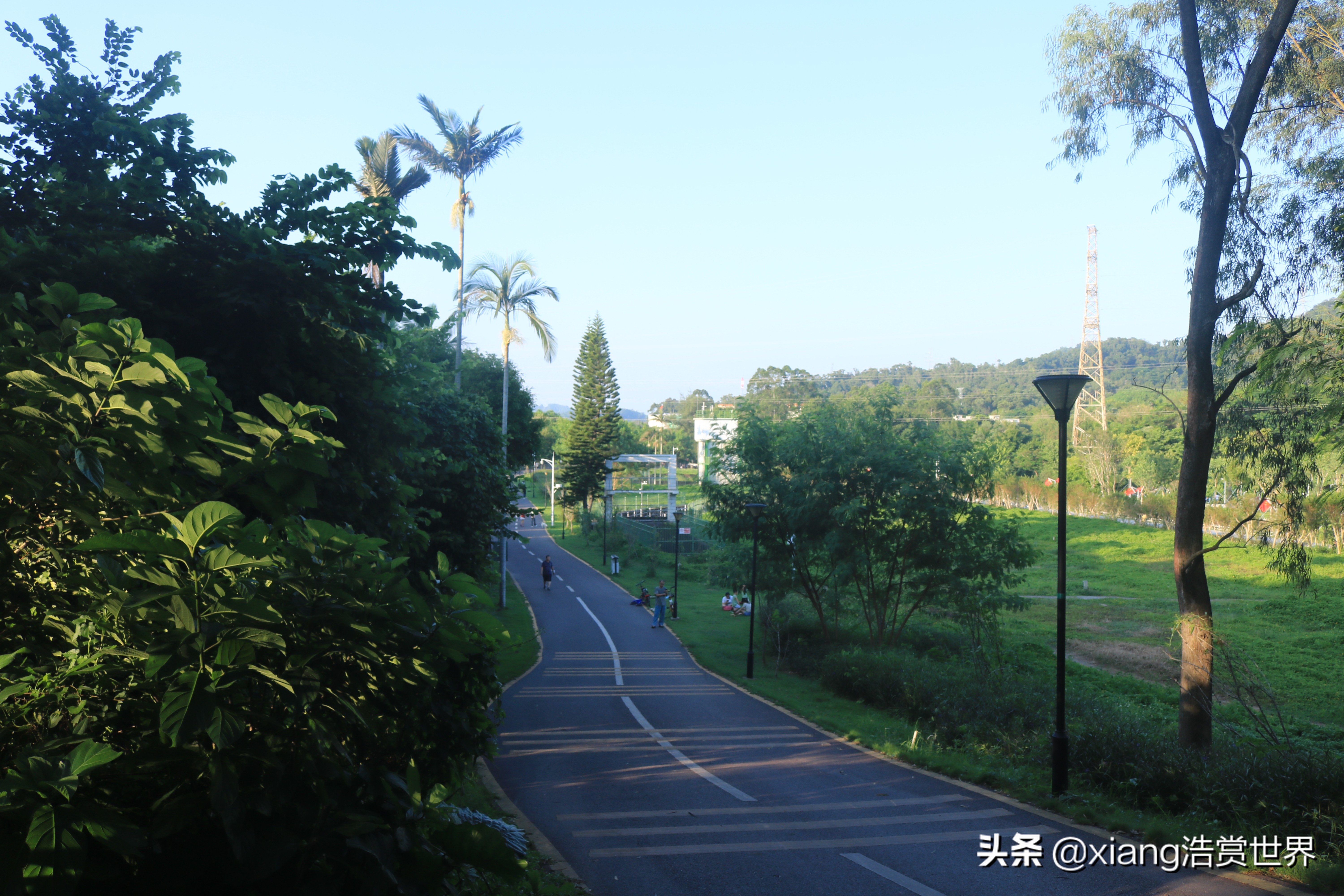 深圳最值得拍照的公园,深圳风景最好看的公园