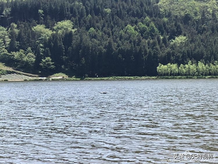 四川黑竹沟之谜,四川黑竹沟探险之旅