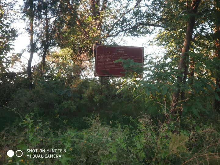 大连长兴岛长城,大连长城4s店