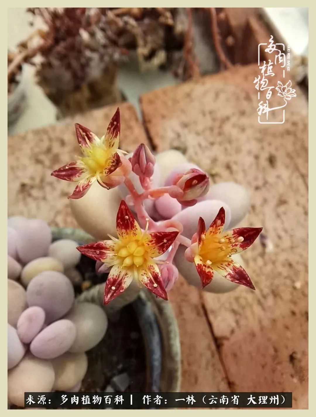 星光不问赶路人文案,时光不负有心人星光不负赶路人