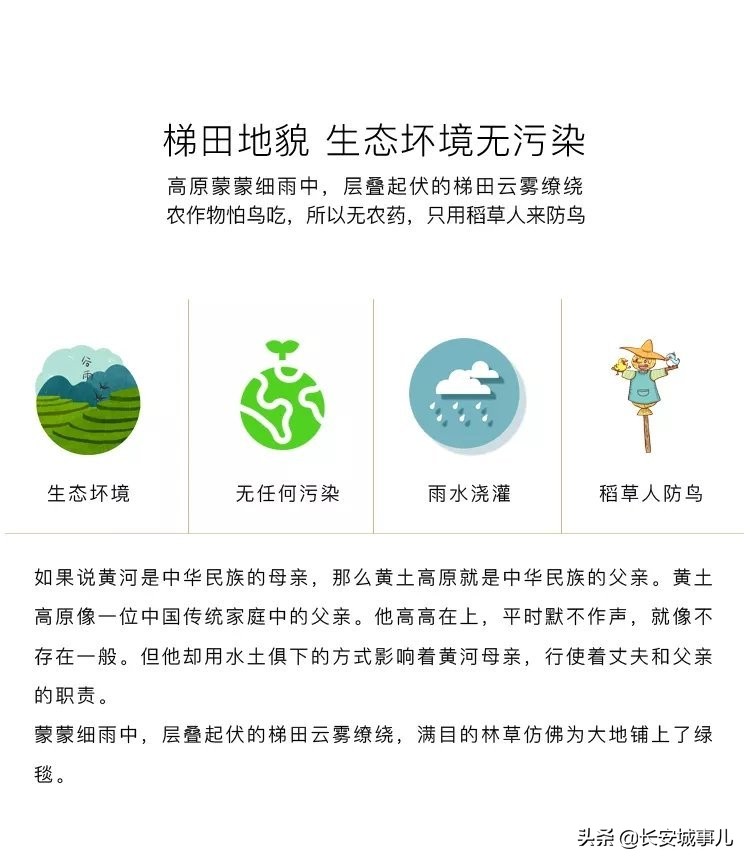 那年愿,那年愿产品介绍