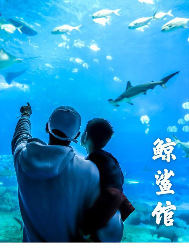 珠海亲子游必玩景点,珠海一日游适合带孩子玩的景点