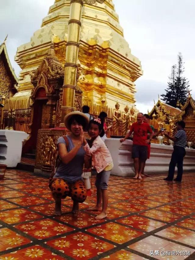 泰北玫瑰的英文,泰北玫瑰图片