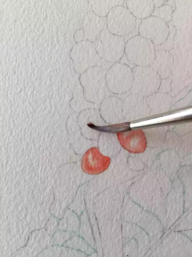 水彩密密麻麻的树叶怎么画,水彩画教程入门叶子