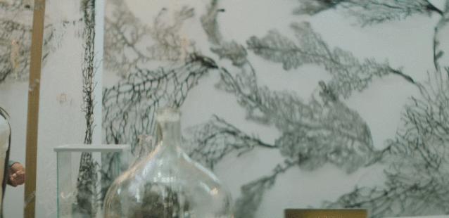 爱马仕橱窗展示设计手绘图,爱马仕2023橱窗设计最新款