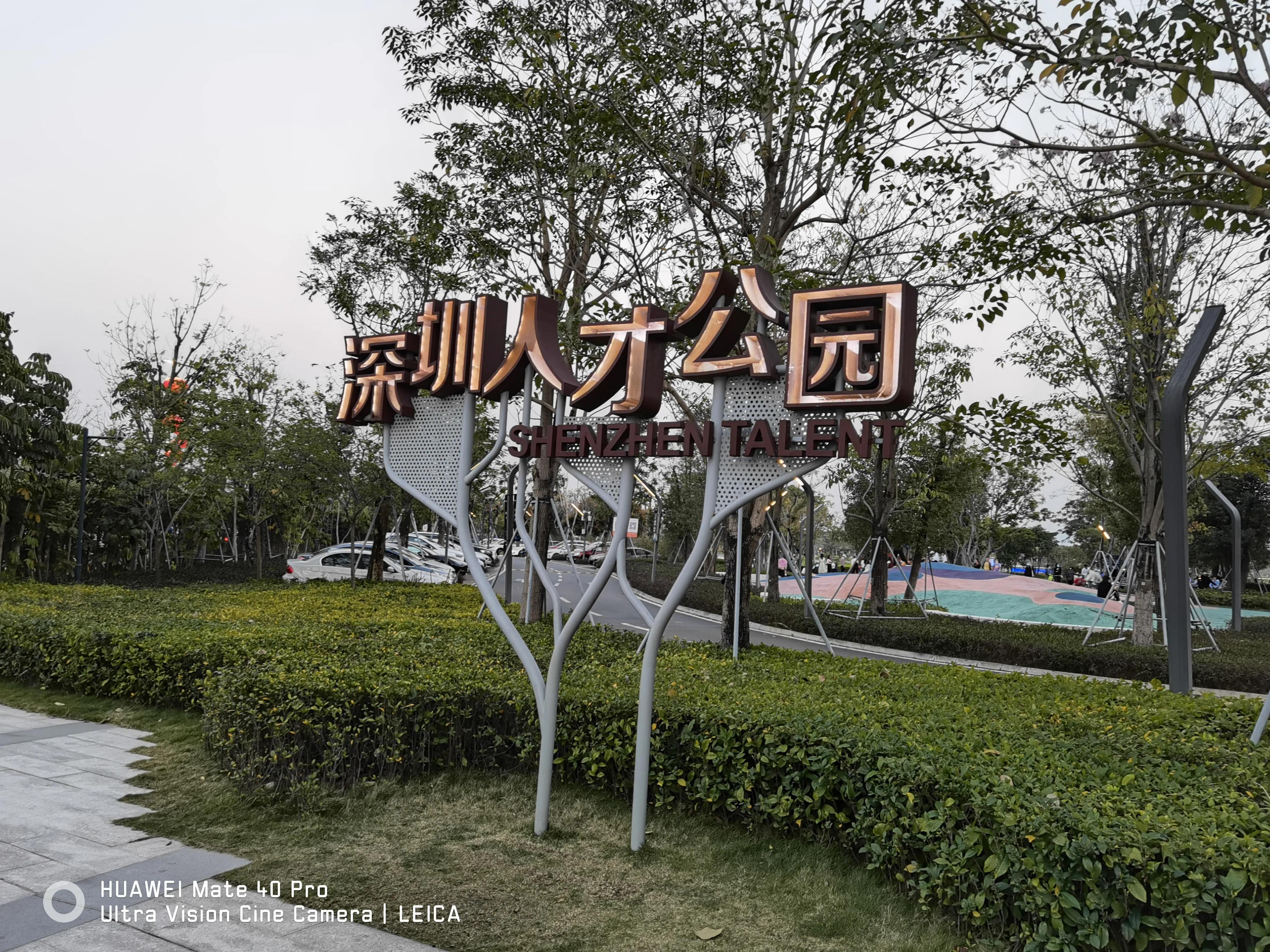 来深圳必去的地方旅游攻略,深圳景点免费开放最新