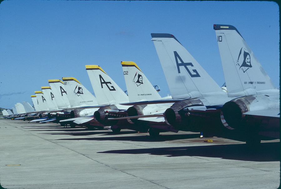 猫迷必备技能，F-14各型号的辨别