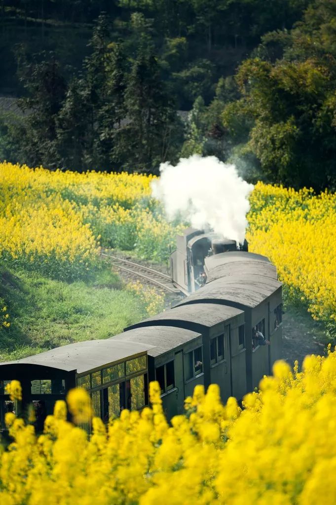 一生必去的50个最美的地方列表图,一生必去全球50个最美的地方