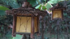 63岁中国大爷靠玩木头火到国外,61岁大爷惊呆外国人