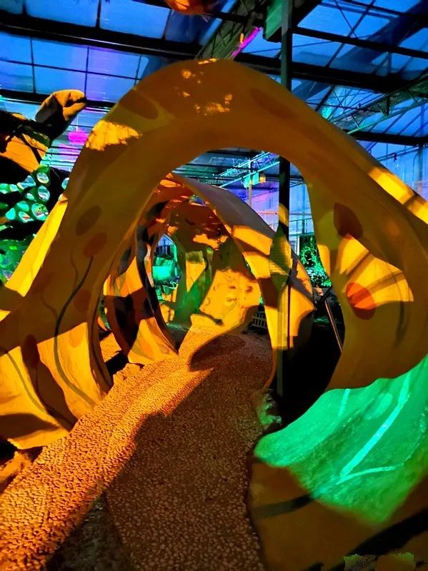 7月旅顺游玩,7月旅顺游玩去处