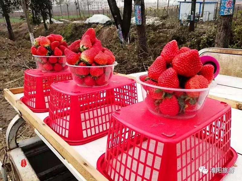 长亭外，古道边……原来淮阳古代的十里长亭竟然在这里