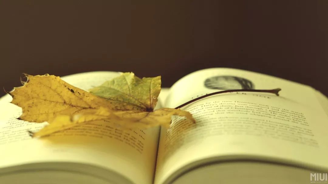 历史知识点速记方法大全,再谈历史知识点记忆技巧