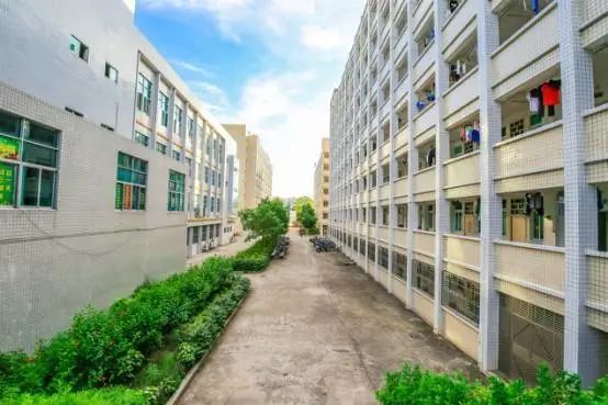 高职高考嘉应学院技能考试,梅州嘉应学院高职高考分数排名