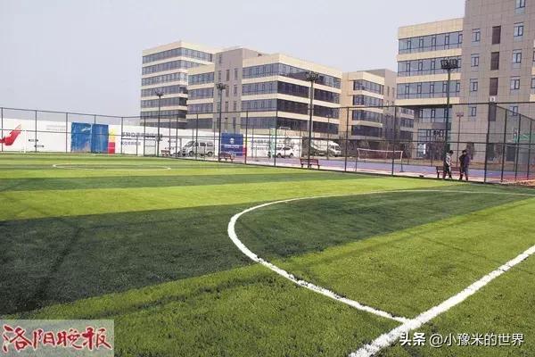 十六个好消息,洛阳旅游规划最新消息