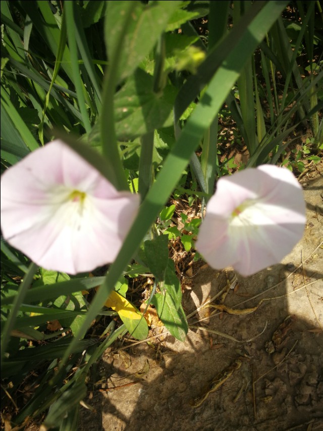 爱说话的为什么不爱喝汤~原来