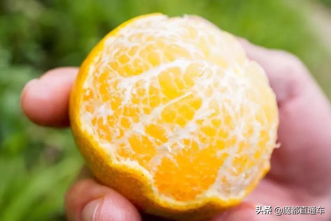 2019，在最好的时间，挑最好的地点，吃最好的食物！