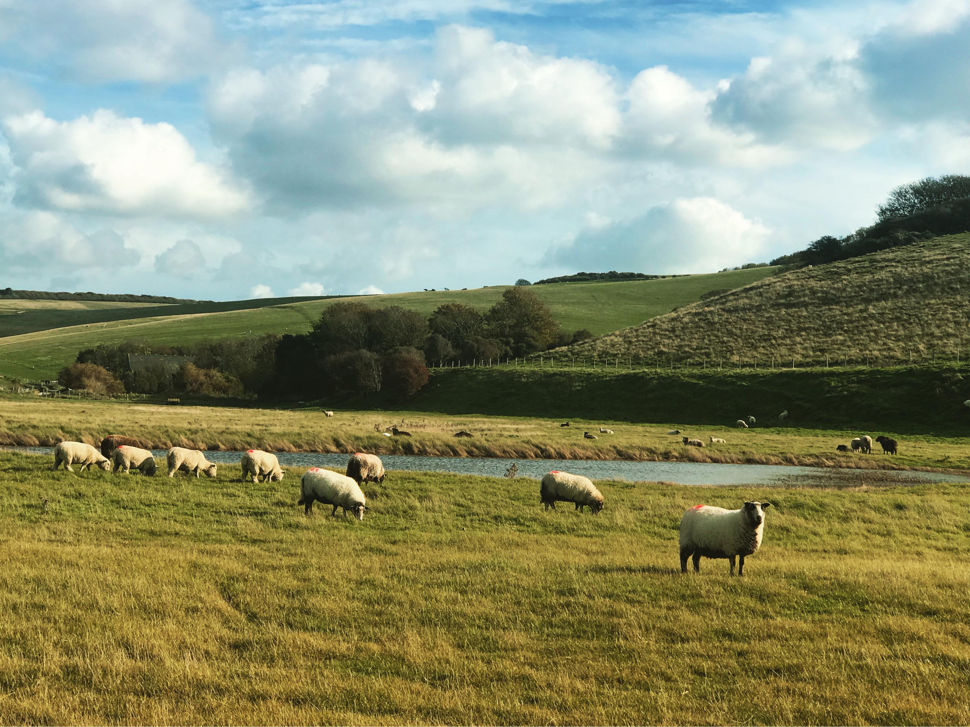 跟着旅行团去英国,跟旅游团去英国旅游