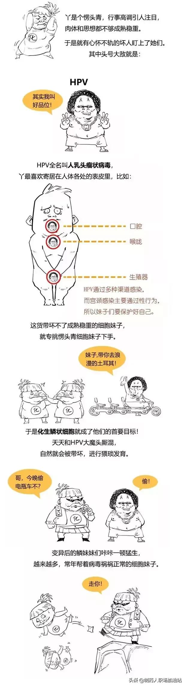 乳房癌、宫颈癌与HPV