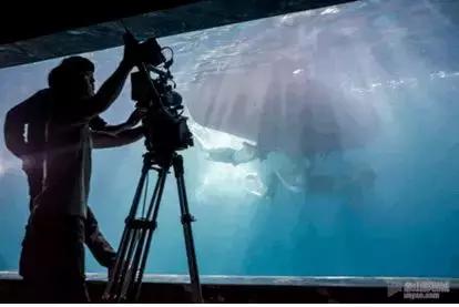 象山影视城总投资多少钱,象山影视城深度分析