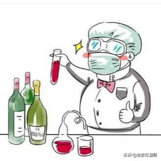 50种有趣的葡萄酒,整顿了15条葡萄酒小知识