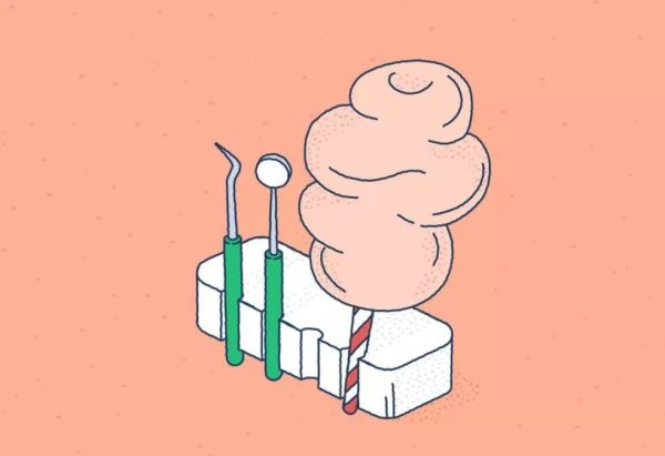 袋鼠有二个子宫,袋鼠有三个育儿袋