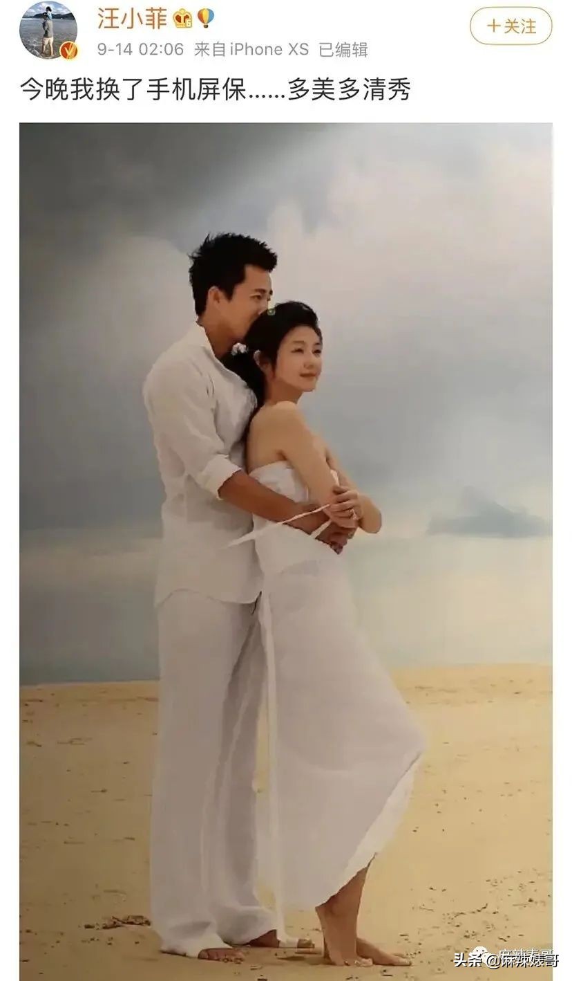 陈数和老公接吻照片,陈数老公回应搂抱年轻女子