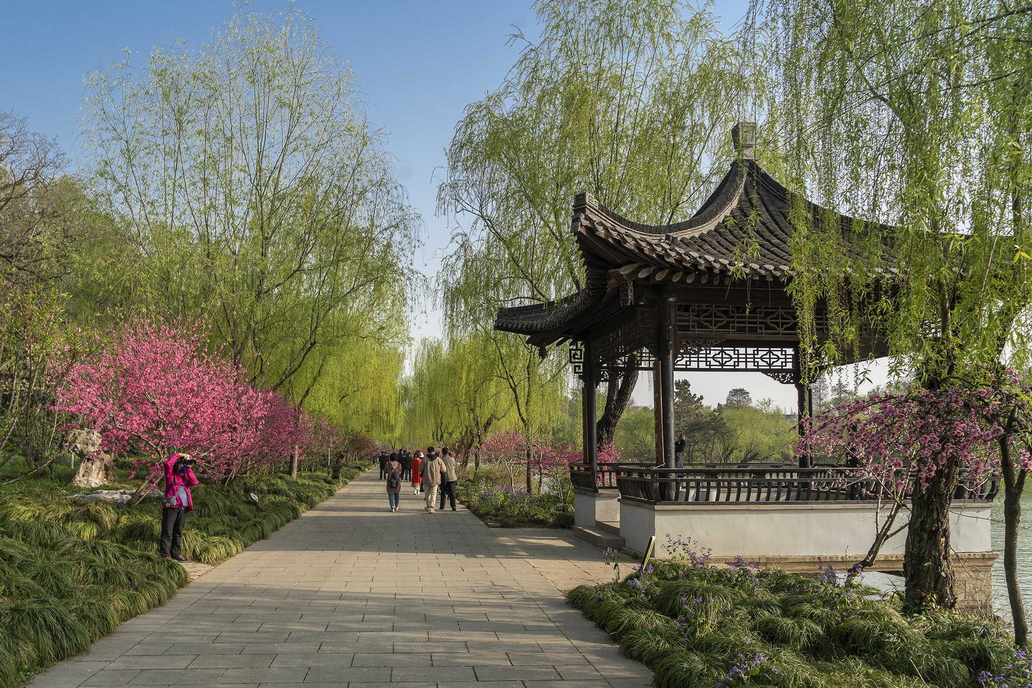 春风十里扬州路烟花三月瘦西湖,扬州三月瘦西湖