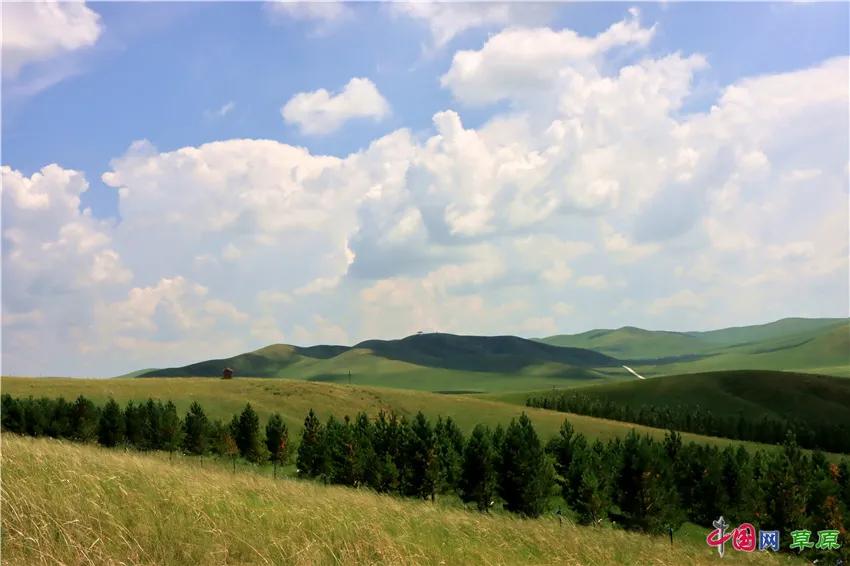 锡林郭勒大草原正蓝旗草原之行,十一锡林郭勒大草原旅游攻略