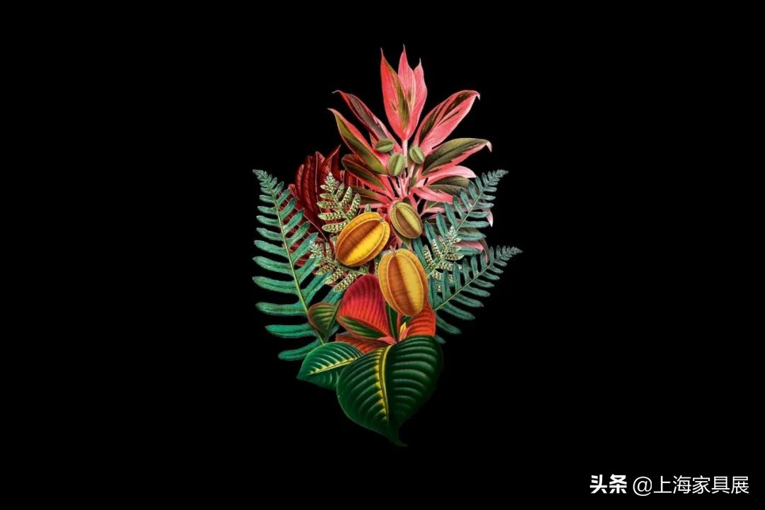 让深秋更有意义，创意美学品牌moooi描述独特的美丽