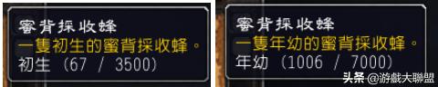 魔兽世界蜜蜂坐骑采蜜蜂路线,魔兽世界蜜蜂坐骑采蜜技巧