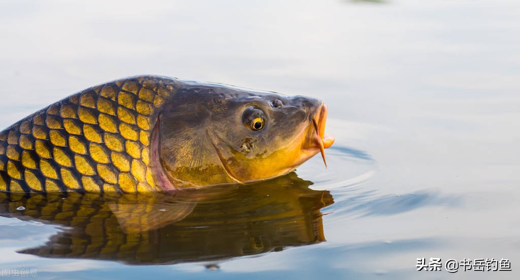可真是长见识了！钓鱼小药的水太深了，稍不留心捏脚的费用就没了