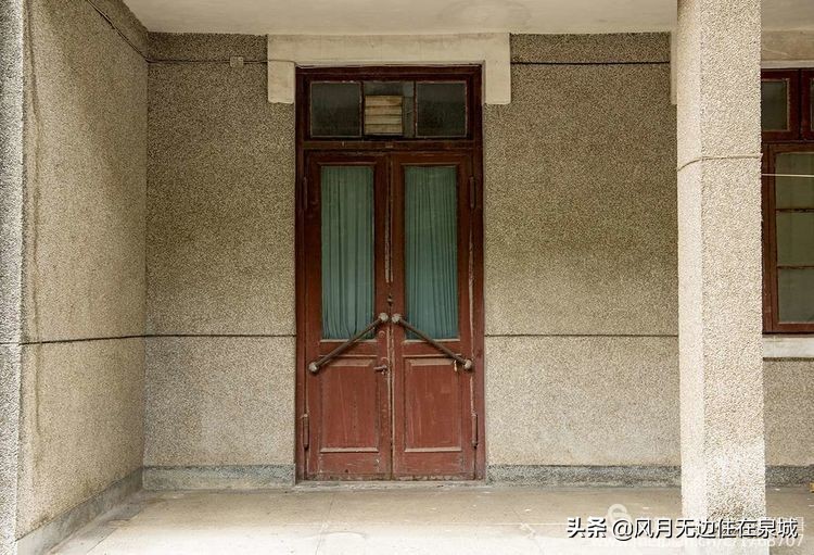 济南的法国梧桐,济南梧桐树美景