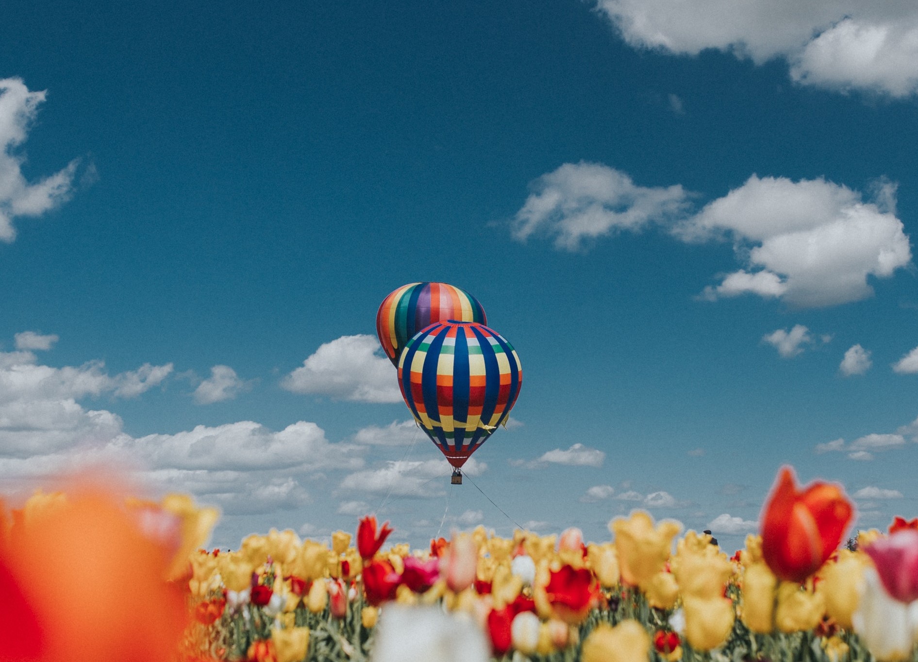 后来我才发现，我还是戒不掉你