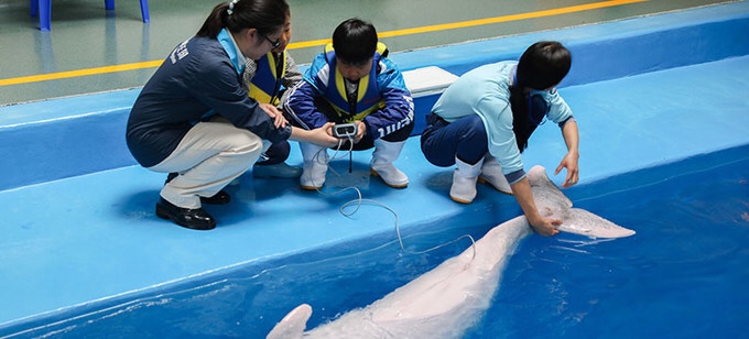 珠海横琴长隆海洋王国,珠海横琴长隆海洋王国门票价格