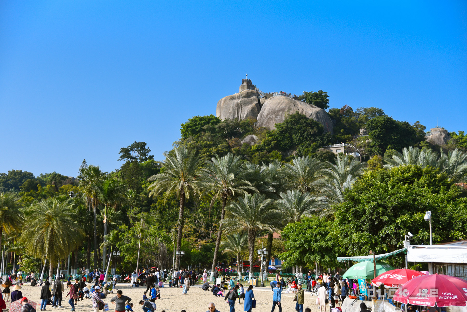 厦门本地人鼓浪屿旅游攻略,本地人带游客去鼓浪屿去哪个码头