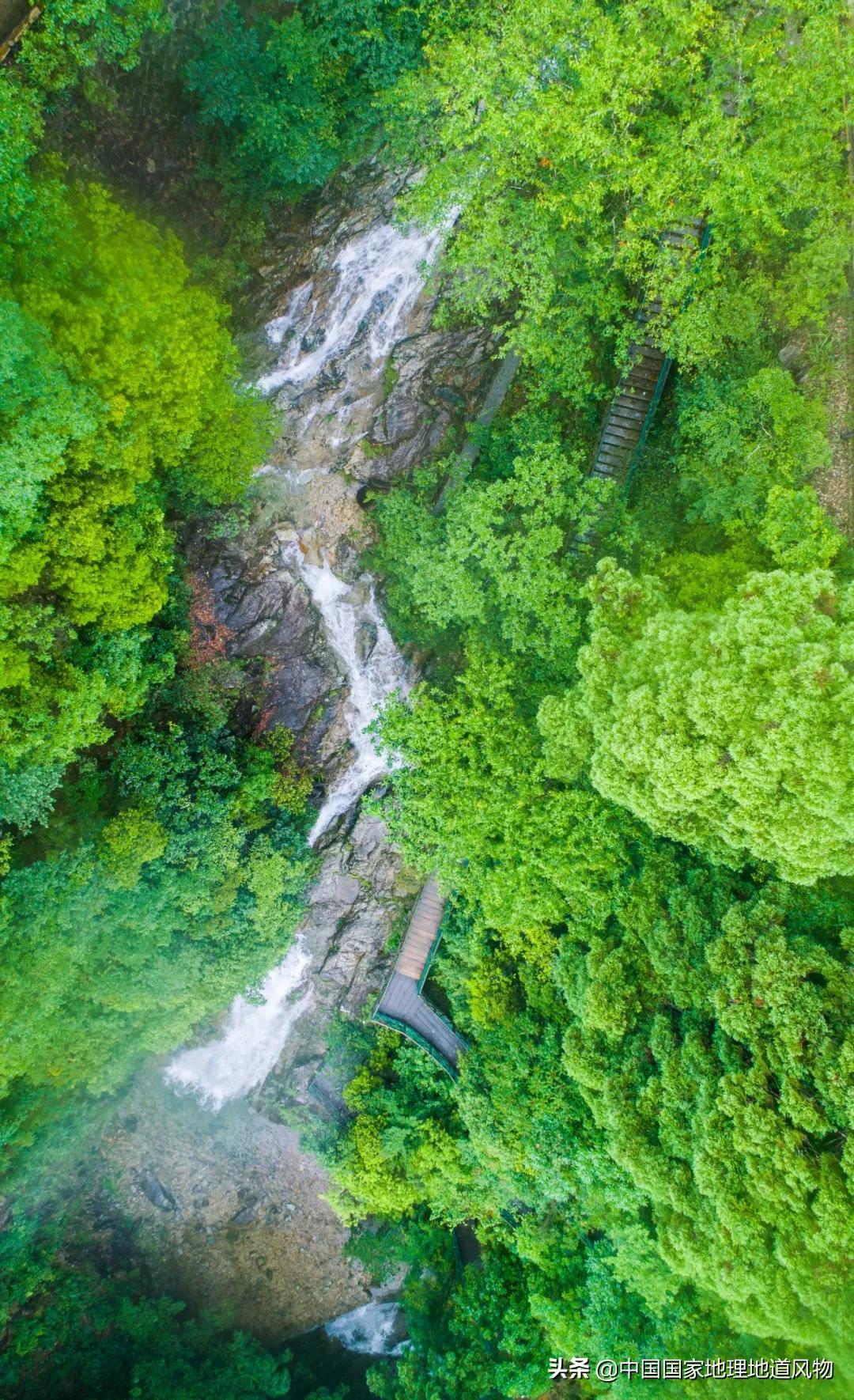 丽水有哪些历史古迹,浙江丽水著名风景区是哪里
