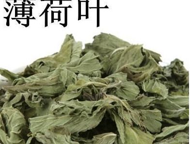 薄荷是什么样的有什么功效,薄荷的功效与作用百科知识
