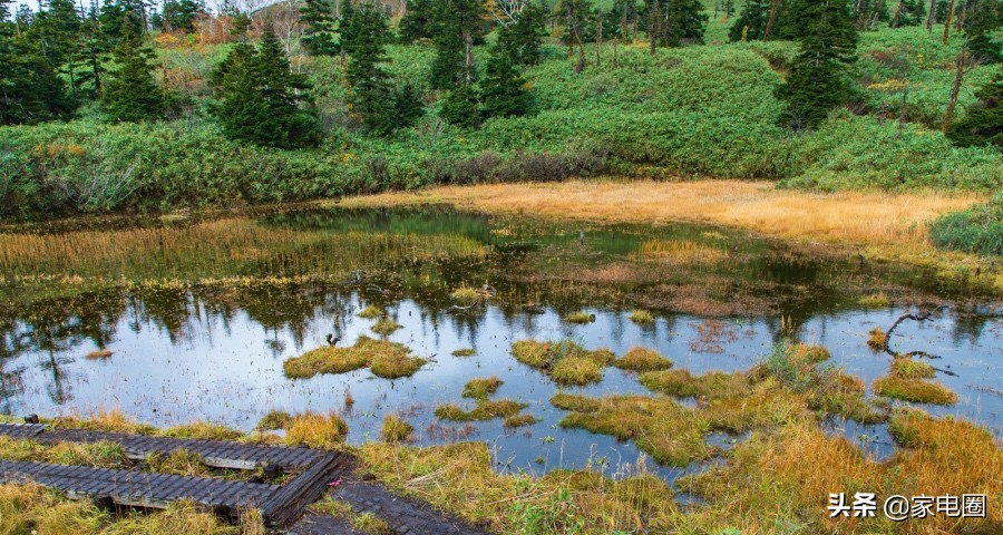 家电智商税,揭秘收割智商税的十款家电