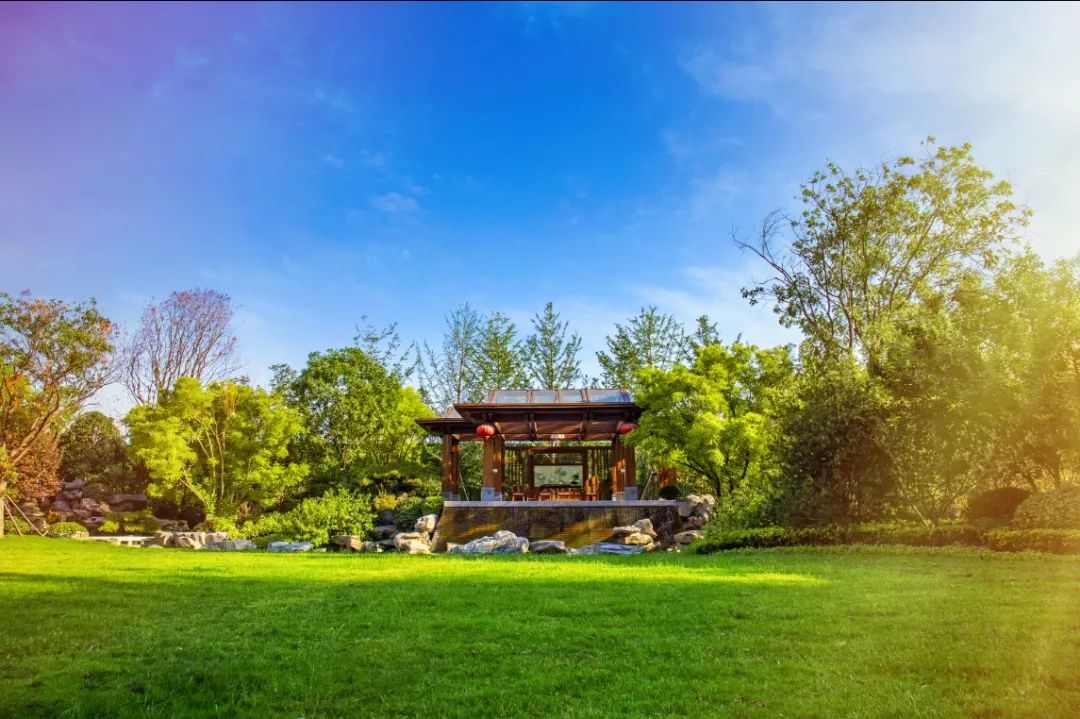 郑州二环内洋房区哪里好,郑州二环内的洋房