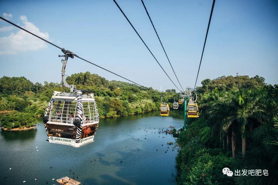 长隆飞鸟乐园长隆熊猫酒店怎么选,周一长隆野生动物园游玩攻略