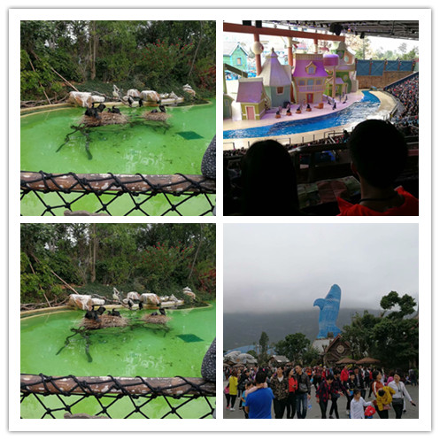 广州长隆海洋王国和珠海海洋王国,广州长隆海洋王国和珠海长隆