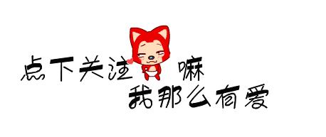 微笑天使萨摩耶剃完毛,微笑天使萨摩耶