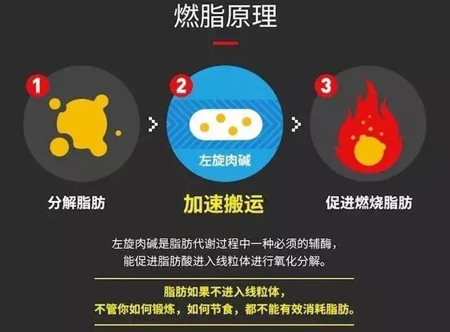 减脂每天吃够三大营养素可以瘦吗,减脂三大营养素一定要吃够吗