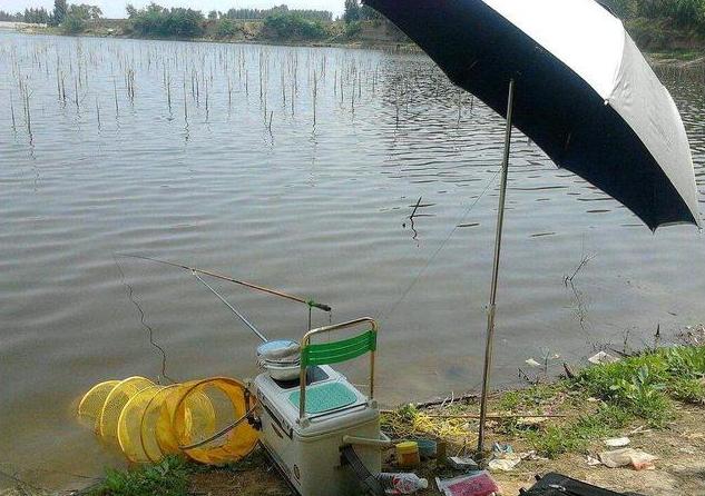 承包千亩水库！投放30万尾小鱼苗，收获季节却满脸愁容，什么情况