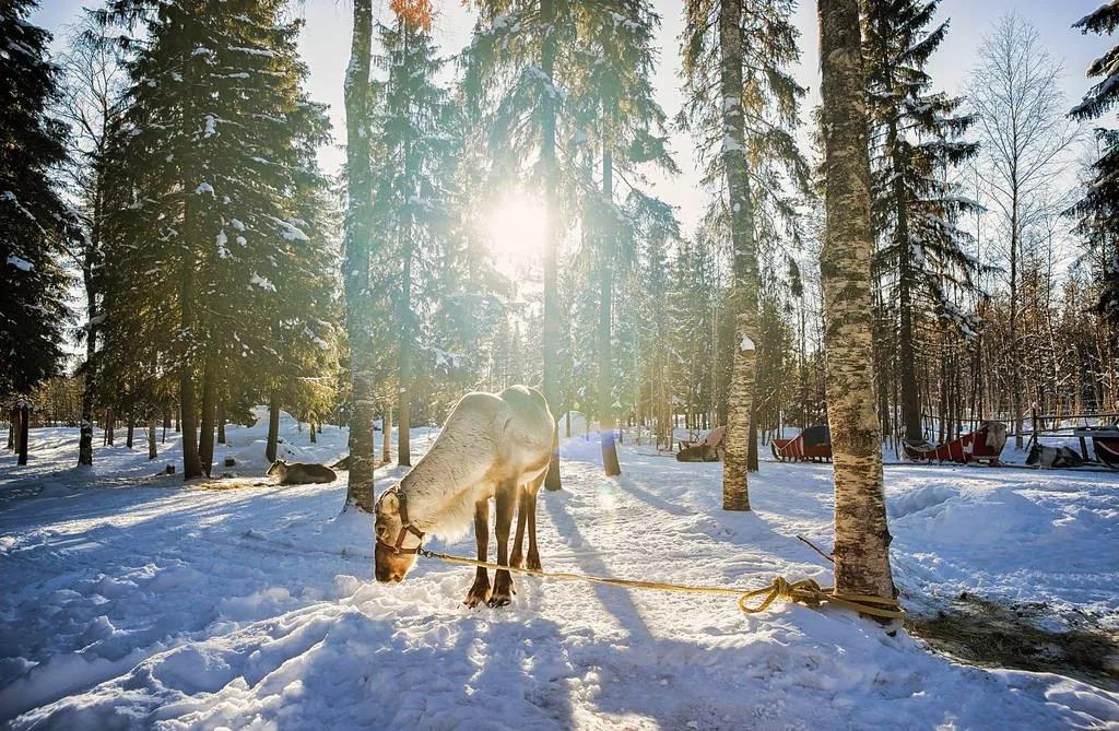 去欧洲不能错过的九个绝美小镇,欧洲冬天童话小镇