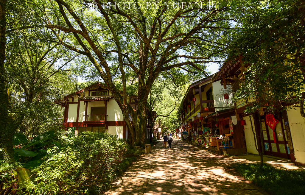 武夷山宋街介绍,武夷山宋街历史
