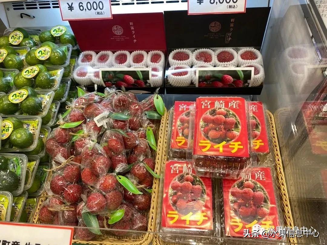 日本农业发达到什么程度？荔枝、香蕉、菠萝竟然用温室来种