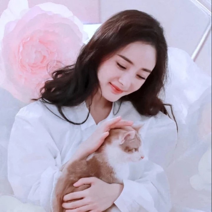 杨幂当年被黑得有多惨,杨幂所经历的血雨腥风