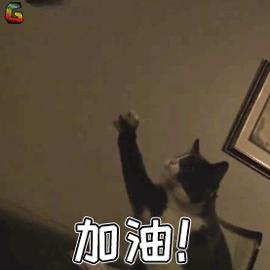 安全隐患大整治百日攻坚我先行,安全整治百日专项行动